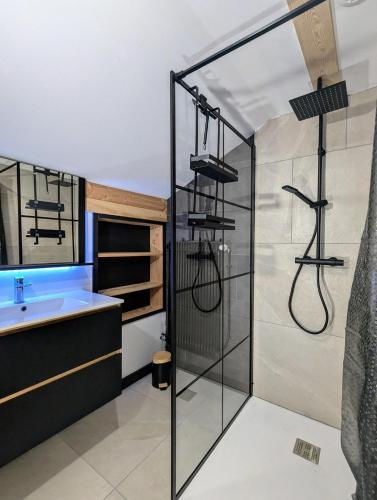 une salle de bain avec douche et lavabo dans l'établissement Hêtre pourpre, à Ventron