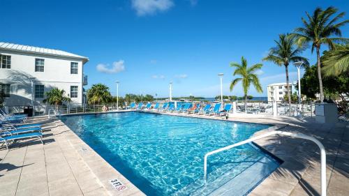 a large swimming pool with blue chairs and palm trees at 131 Mariners Club in Key Largo