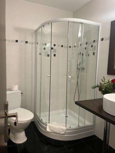 a bathroom with a shower with a toilet and a sink at Pietrele Doamnei in Pojorîta