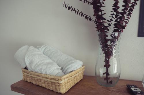Fotografie z fotogalerie ubytování Laureles Garden Hostel v destinaci Medellín