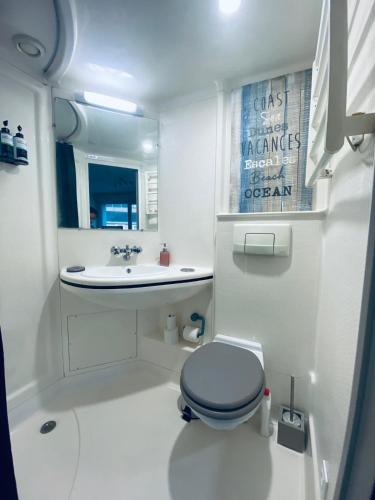une salle de bain avec des toilettes bleues et un lavabo dans l'établissement Quai 86 - Studio, clim mobile, parking, proche gare & centre, à Poitiers