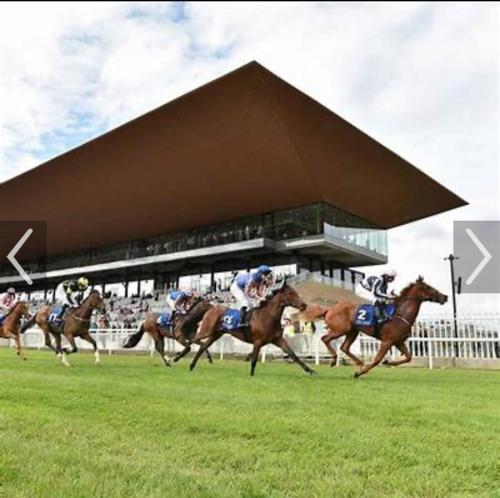 a group of horses racing on a race track at No1 The Townhouse Kildare in Kildare