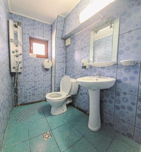 a blue bathroom with a toilet and a sink at Pensiune turistica Milcov-VLADET in Predeal