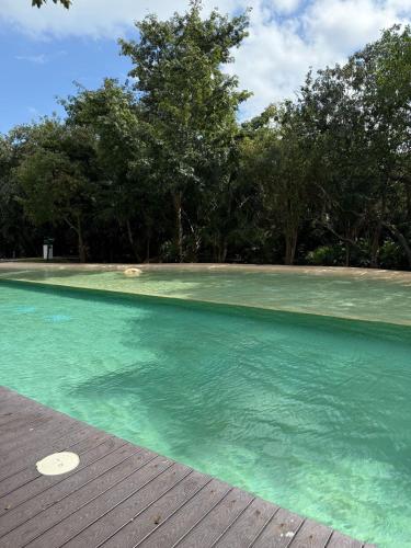 a pool of water with a frisbee in it at Apartment in Playa del Carmen with Private Beach in Playa del Carmen