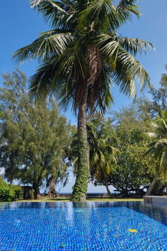 a palm tree sitting next to a swimming pool at Villa Te Torea in Arue