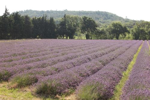Photo de la galerie de l'établissement Charmant gîte entre Drôme Provençale et Ardèche, à Allan