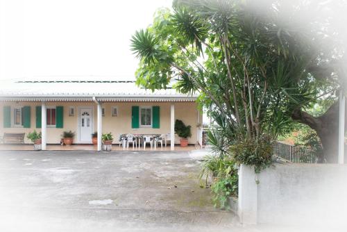 a house with a palm tree in front of it at La Résidence des Caféiers - Le Tampon in Le Tampon
