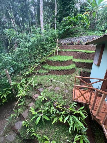 a garden with a set of steps in the grass at The Lookout Cabin in Pupuan Tabanan Bali in Tabanan
