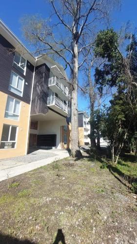 a large building with a tree in front of it at Departamento Condominio Parque Pucón in Pucón