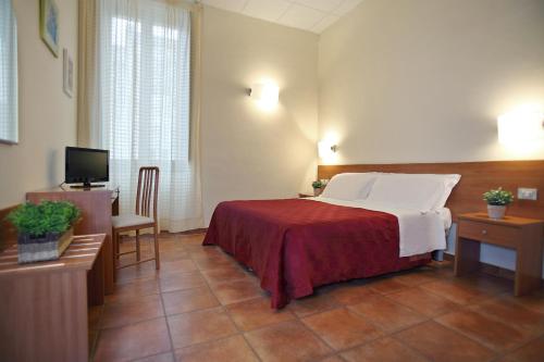 a hotel room with a bed and a television at Hotel Sant' Antonio in Alberobello