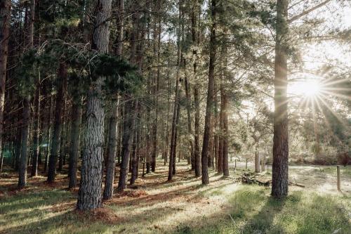 Sandy Hill Forest Tiny Home