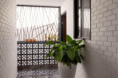 a plant in a white vase in a room with a window at Depa céntrico, moderno y acogedor con terraza in Matehuala