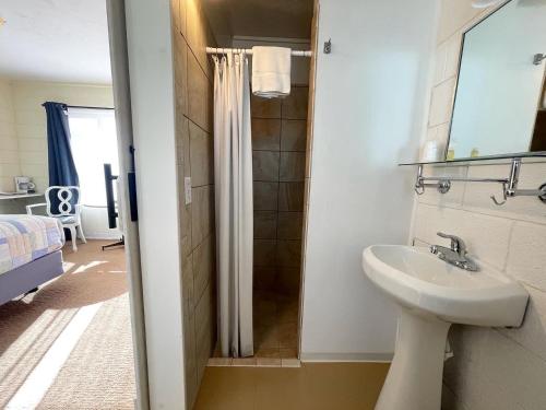 a bathroom with a sink and a shower at Mt Carmel Motel in Southern Utah in Mount Carmel