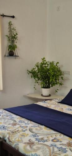 Postel nebo postele na pokoji v ubytování Villa Luna Varkala