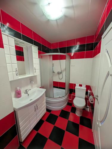 une salle de bain avec un sol à carreaux rouges et noirs dans l'établissement Stylish apartment, à Chişinău