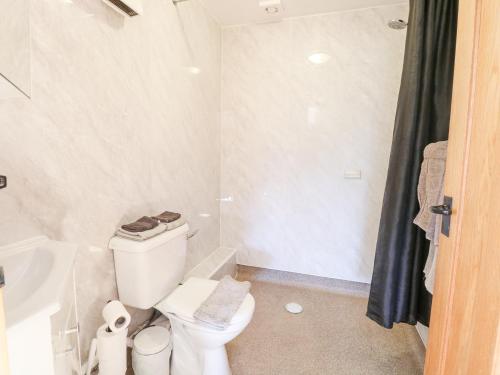 a bathroom with a toilet and a bath tub at The Lodge in Coltishall