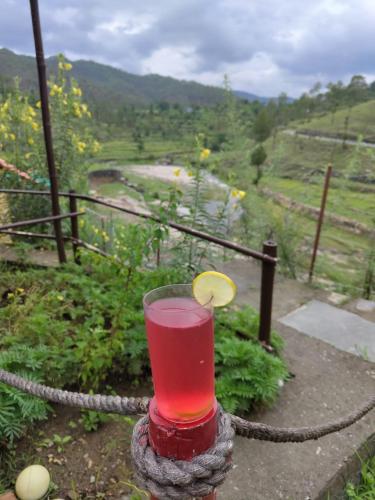a drink with a lemon slice in a glass at Nisarg Camping Pods in Almora