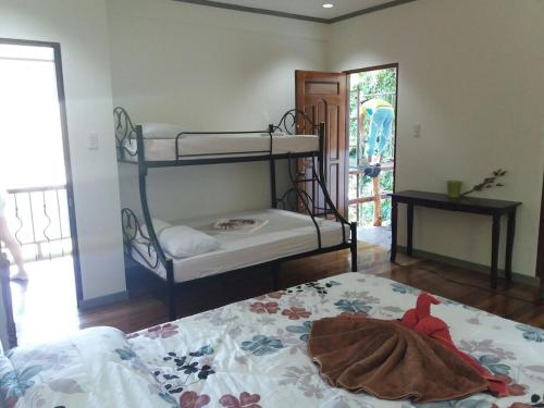 a bedroom with bunk beds with a teddy bear on the bed at Puerto Galera Hilltop Guesthouse -Tropical Retreat in Puerto Galera