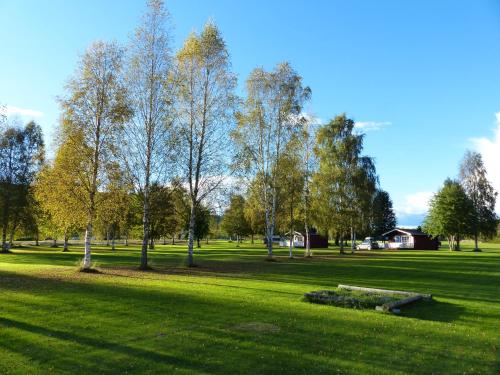 a park with trees and a bench in the grass at Björkebo Camping in Stöllet