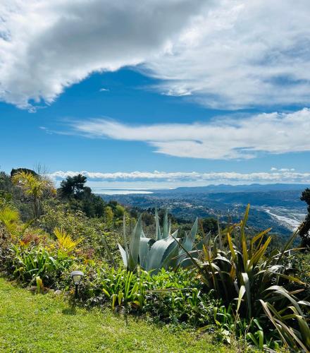 une vue depuis le sommet d'une colline avec des plantes dans l'établissement Maison de charme avec vue mer et piscine sur les hauteurs de Nice, à Aspremont