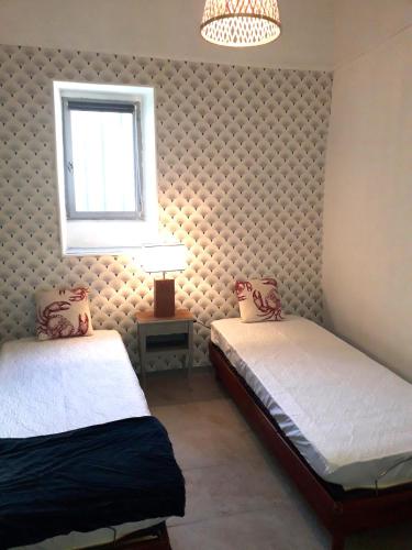 une chambre avec deux lits jumeaux et une fenêtre dans l'établissement La maison de Famille d'Uzès, à Aubussargues