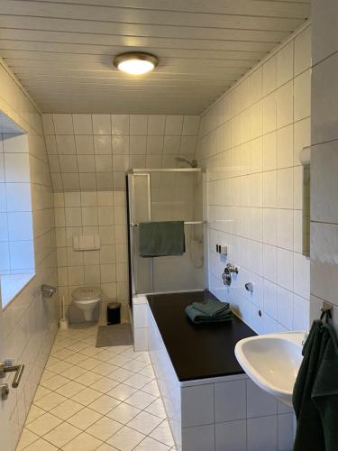 a bathroom with a sink and a shower and a toilet at Aa-partment nahe A1 - Monteurswohnung in Ostbevern