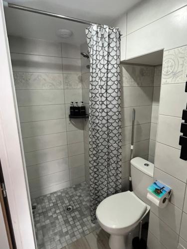 une salle de bain avec toilettes et douche dans l'établissement Studio, à Commequiers