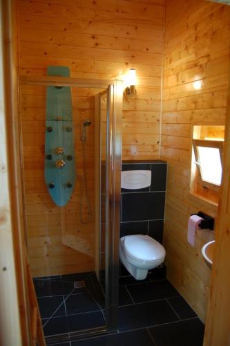 La salle de bains en bois est pourvue de toilettes et d'une douche. dans l'établissement Chalet en bois, à Ascou