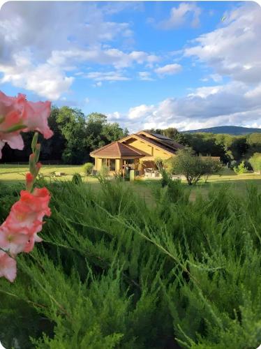 une maison au milieu d'un champ avec une fleur dans l'établissement Magnifique Chalet avec piscine et salle de sport, à Peyrieu