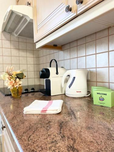 - un comptoir de cuisine avec un grille-pain blanc sur un comptoir dans l'établissement Magnifique appartement Fleur, à Saint-Louis