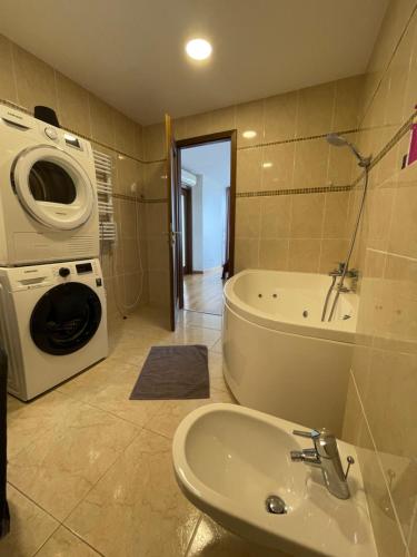 シュヴェントイにあるToVa Apartamentaiの洗面台と洗濯機を備えたバスルーム