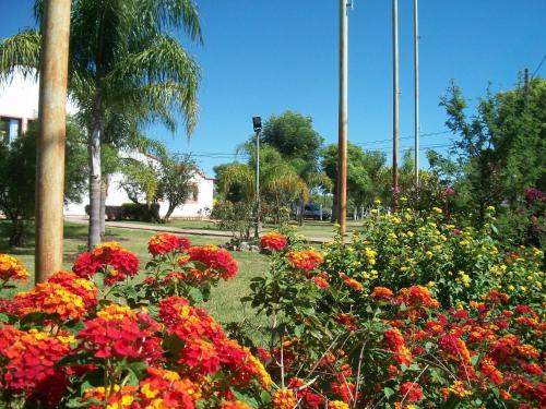 a garden with red and yellow flowers and palm trees at Hotel La Posta del Dayman in Termas del Daymán
