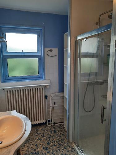 une salle de bain avec douche et lavabo dans l'établissement Family house for 7, à Perros-Guirec