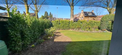 a yard with a house in the background at De beukenboom Bed and Breakfast in Geleen