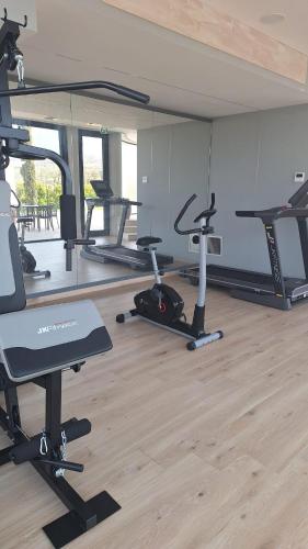 Das Fitnesscenter und/oder die Fitnesseinrichtungen in der Unterkunft Hotel Lemi