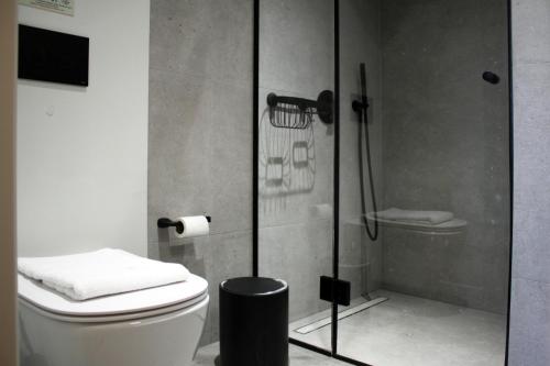 a bathroom with a toilet and a glass shower at Art Studios Gialova Navarino in Gialova