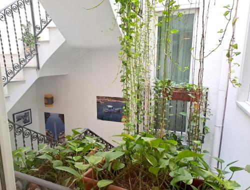 Taman di luar Ai Tintori