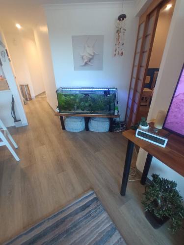 a living room with a fish tank and a table at Backpackers Waterfront Stay at Shoal Bay Stayz with Dave Stays in Shoal Bay