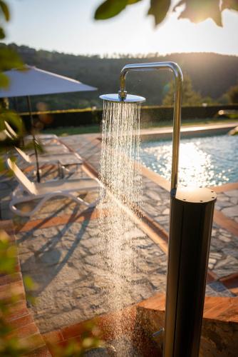 a water fountain in front of a swimming pool at Podere Felceto in Panzano