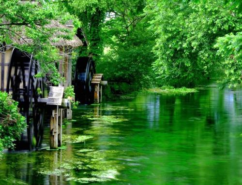 a river with green water and trees on it at L -scene Centrally located in Matsumoto Maximum 8 people 2 min walk from Matsumoto Castle in Matsumoto