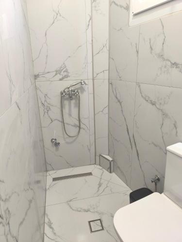 a bathroom with a shower and a toilet at Vetti Rooms in Skiathos