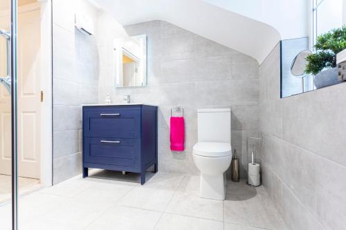a bathroom with a toilet and a blue cabinet at No 31 Killarney Holiday Village in Killarney