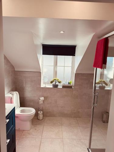 a bathroom with a toilet and a window at No 31 Killarney Holiday Village in Killarney