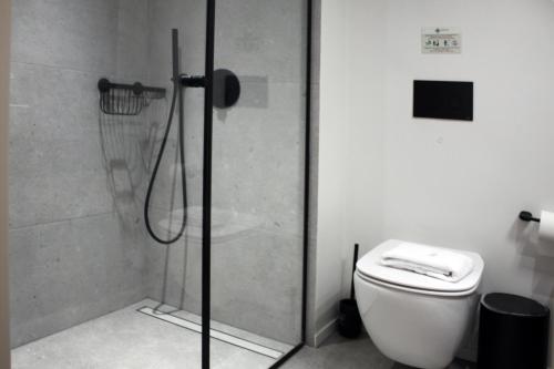 a bathroom with a shower with a toilet and a glass shower door at Art Studios Gialova Navarino in Gialova