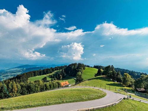 a winding road on a green hill with trees at Grand Hotel Bregenz - MGallery Collection in Bregenz