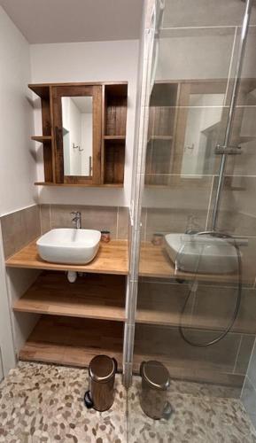 une salle de bain avec un lavabo et une douche dans l'établissement Appartement coquet avec jardin proche de la mer, à Ouistreham