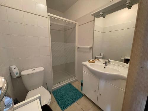 une salle de bain avec toilettes, lavabo et douche dans l'établissement Carpediem-corsica Bravone, à Linguizzetta