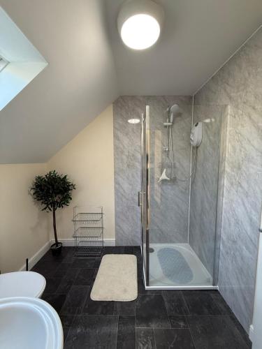 a bathroom with a shower and a toilet at Rural retreat in Longframlington