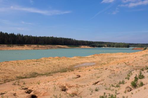 a view of a lake with birds in the water at Penzion u lípy in Suchdol nad Lužnicí