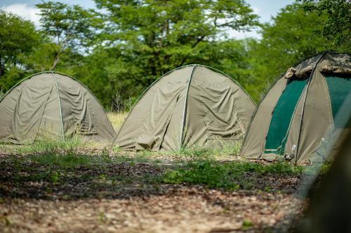 Fotografie z fotogalerie ubytování Se xaxa Camp v destinaci Maun